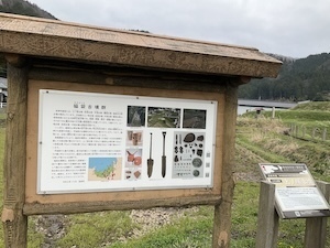 IMG_8085.jpeg