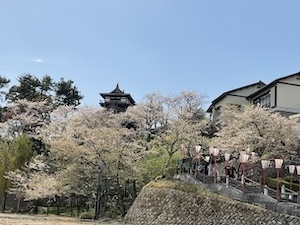 IMG_8239.jpeg