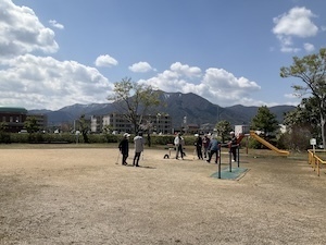 IMG_8269.jpeg